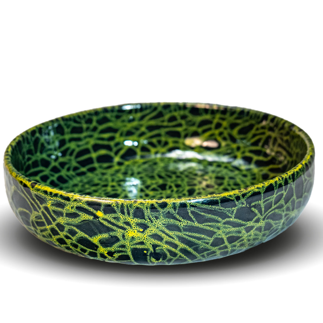 Hierophis bowl