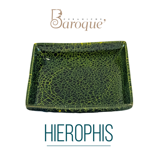 Hierophis Square Plate