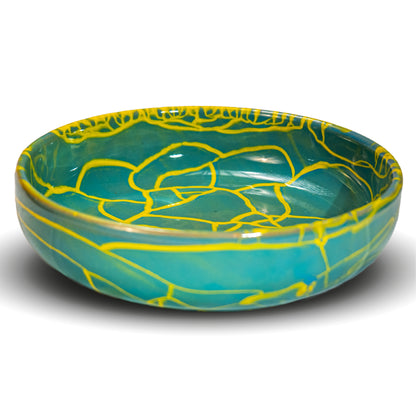 Vitae Bowl